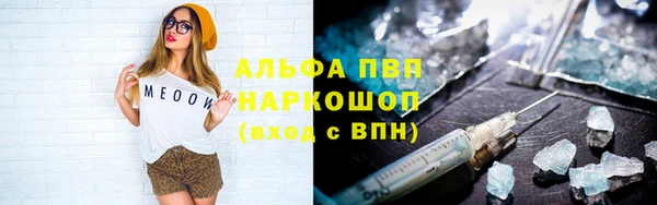 твердый Абаза