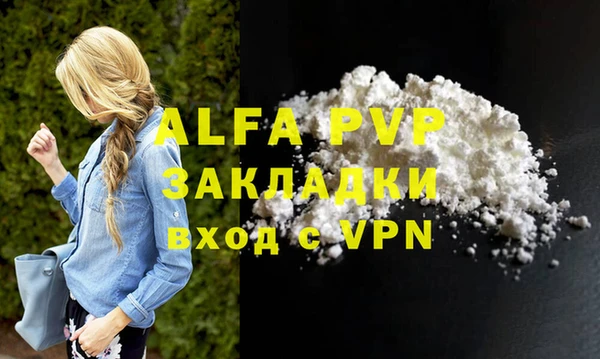 твердый Абаза